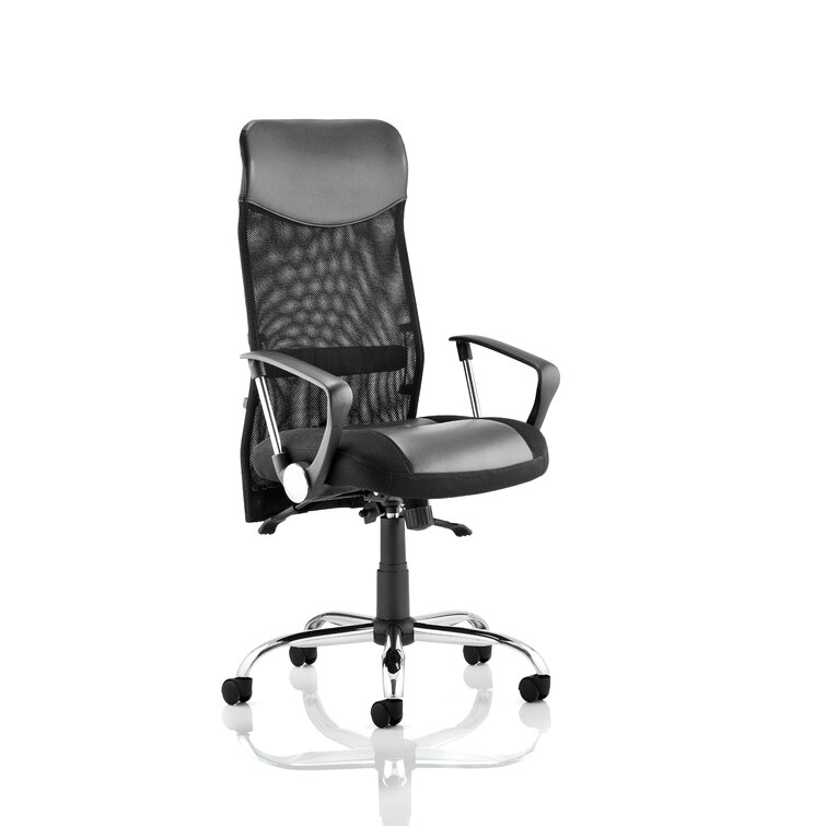 Wayfair mesh store task chair